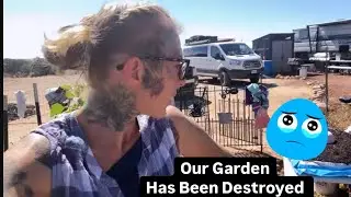 😥Destroyed | Homesteading In the Basin
