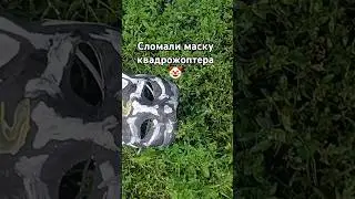 12 августа 2024 г.