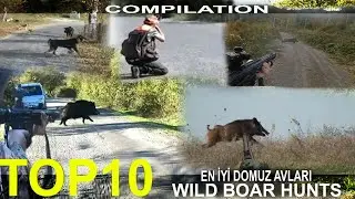 EN İYİ TOP 10 DOMUZ AVLARI (2021) CACCIA AL CINGHIALE / WILD BOAR HUNTING /süper domuz avi