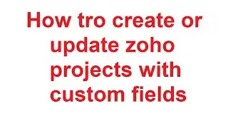 How tro create or update zoho projects with custom fields