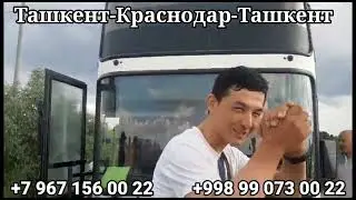 Краснодар Ташкент автобус,ростов-ташкент,ташкент-краснодар, ростов-ташкент,краснодар-ташкент автобус