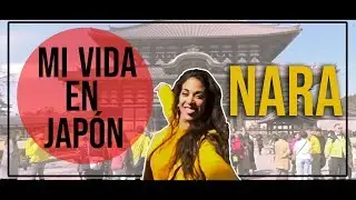 Mi Vida En Japon - Nara | SaraRose