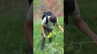 как вам наше горном поездка