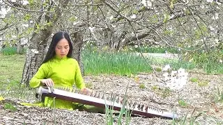 Xuân Thiền : Đàn Tranh 29 dây (Springtime Contemplation)