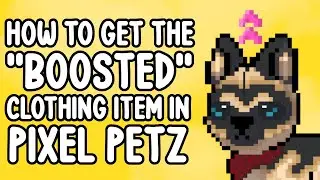 This Is A Discord Exclusive Pixel Petz Clothing Item