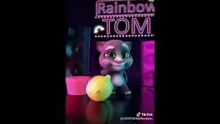 Mèo tom nhảy cực dễ thương tik tok/Cute tom cat jumping