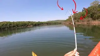 Pescaria de tucunaré no Lago, era jogar a ISCA na água eles ATACAVAM.