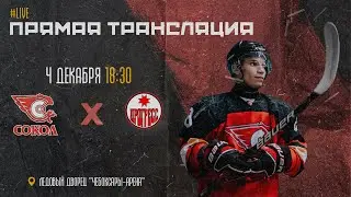 04.12.2023 ХК Сокол VS ХК Прогресс