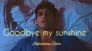 Goodbye My Sunshine - Sebastian Silva