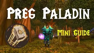 Mini Guide: Preg Paladin Wotlk PvP