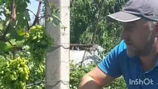 Карнавал на 05.07.2020
