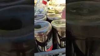 Виноградний концентрат готовий