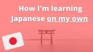 How I'm Learning Japanese on My Own - For FREE