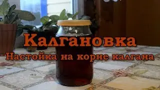 КАЛГАНОВКА (настойка на корне КАЛГАНА)