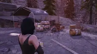 ЯГОДА ХЛОПУШКА И СВЕТЯЩАЯСЯ СМОЛА ПО КВЕСТУ РОУЗ Fallout 76