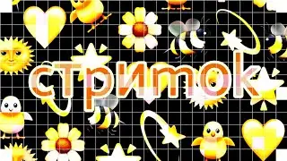 Стиримок~ ♥️▶️🐾