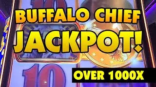 Buffalo Chief Jackpot!!! OVER 1000X!!!