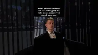 #mellstroy #news #interesting #meme #brawlstars #новости #аниме #россия