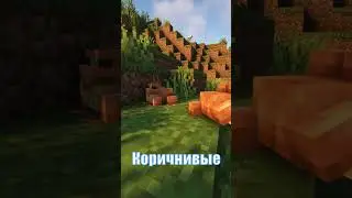 МИФ ОБ ОКРАСЕ ЛЯГУШКИ В МАЙНКРАФТ