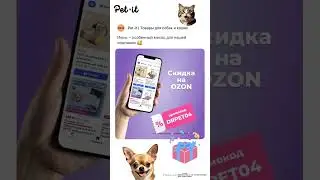 14 июня 2024 г.