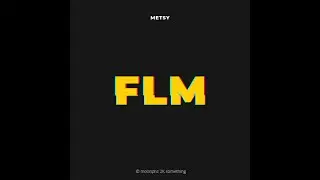 METSY - FLM