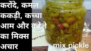 करोंदे, कमल ककड़ी, कच्चा आम और करेले का मिक्स अचार। Mixed achar karonde, kamal kakdi, aam and
