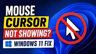 Mouse Cursor Not Showing Windows 11 Fix