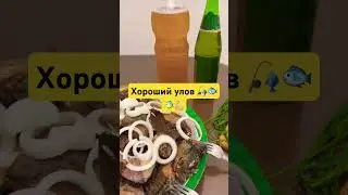 ДЕЕЕРЗКИЙ УЛОВ ВБЛИЗИ АСТАНЫ #рыбалка #сазан #щука #линь