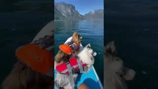 Fjord Flåm 🦊🐼 🏄‍♀️