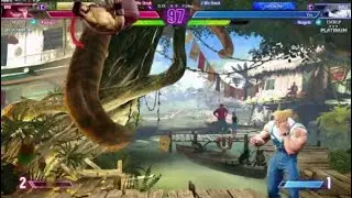 Ryu x Guiler* 2x Perfect