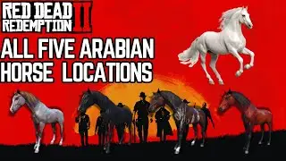 All Five Arabian Horse Locations in Red Dead Redemption 2