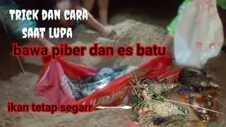 Tips & cara agar ikan tetap segar saat lupa bawa piber dan es batu dipulau
