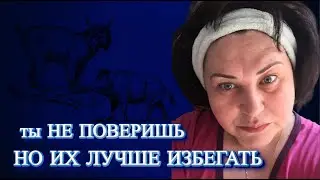 ТАКОГО НИКТО НЕ ОЖИДАЛ/НАИВКУСНЕЙШАЯ ЛЕПЕШКА ИЗ КАБАЧКОВ #elenaruserbia #жизньвдеревне #vlog #влог