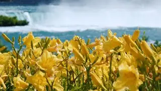 (Tchaikovsky) Thème du Concerto No  1, Op  23 pour piano et orchestre  -  Franck Pourcel