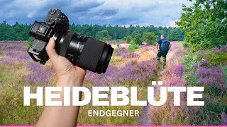 📷 Heideblüte 2024 | Mein fotografischer ENDGEGNER! 📷