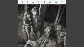 Sparrows