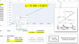 Lineweaver-Burke Plots in Excel