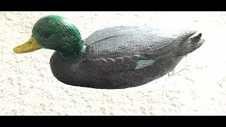 Homemade RC Ente 2 0 (RC Duck) - Brushless Motor