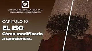 CHAPTER 10: ISO: How to Adjust It Consciously [FREE PHOTOGRAPHY COURSE]