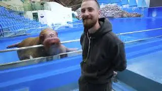Морж Миша принимает поздравления с Днем моржа🎉🎉🎉🎉🎉