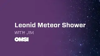 Leonid Meteor Shower
