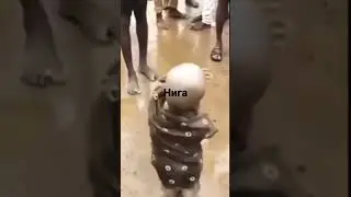 нига 