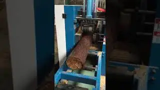 Рамный многопил