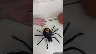 Dollar Tree DIY - Light Up Spider Bowl 🕷️🕸️ #halloweendiy #dollartreediy #halloween2023 #decor
