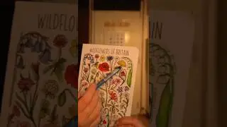 ASMR instructions and questions 🌼