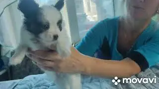 ДЕЛИЯ!!!