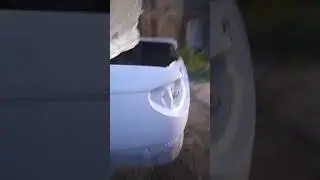 24 мая 2023 г.