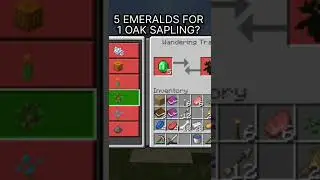 They Added INFLATION To Minecraft 🤯 