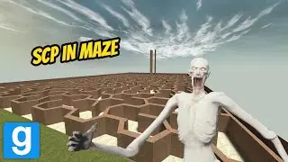 SCP-096 IN HEX MAZE!!! FT. SHOOTABIRDIE