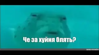 Воньтяпь ве четирье